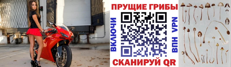 Купить  Печоры  Галлюциногенные грибы ЛСД 